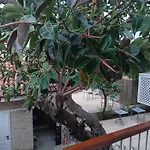 House of Good Things Zeytin Çıkmazı